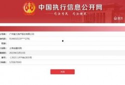 富力爆料最新消息,揭秘球队动态与未来规划
