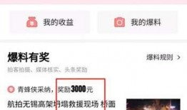 德州今日头条最新爆料,重磅爆料！揭秘某神秘项目背后真相