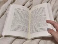 桃园日记最新爆料文案,揭秘幕后真相，独家解读事件始末