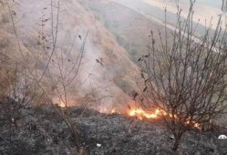 狮子山爆料视频最新消息,最新视频揭露惊人内幕